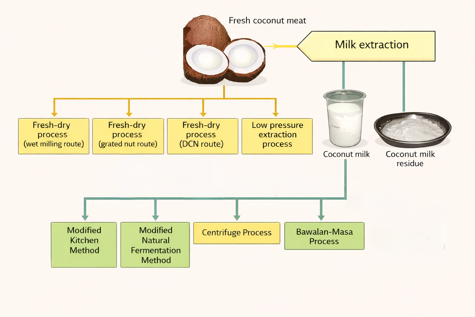 Virgin Coconut Oil Production Methods